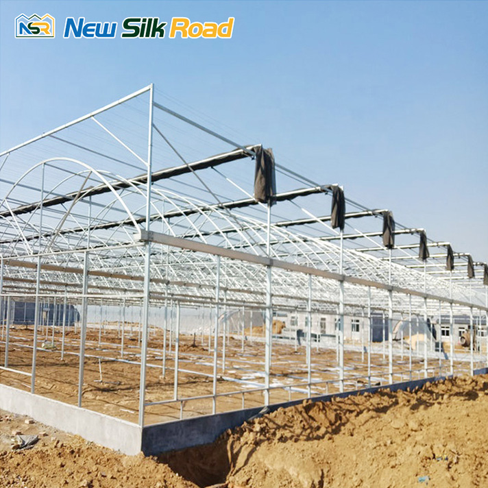 1656478866590465.jpg 1.jpg