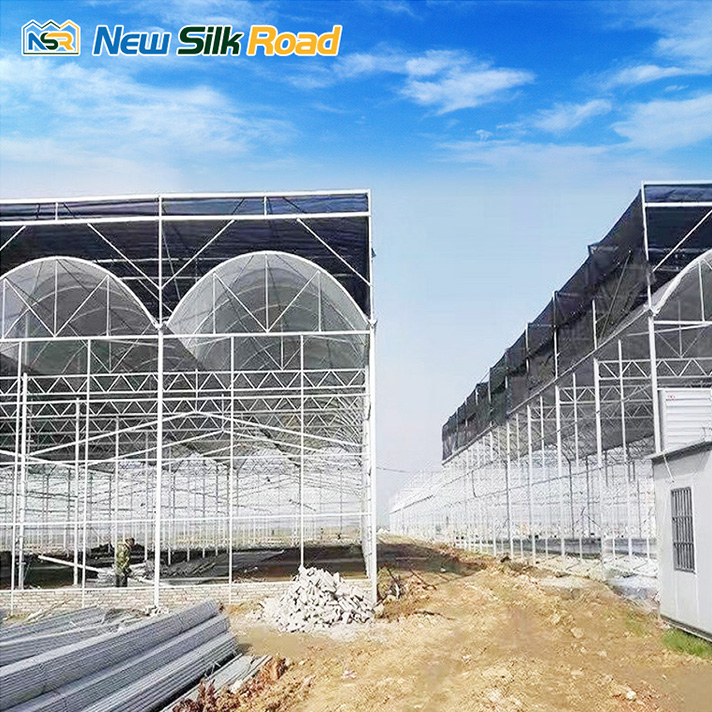 1656478929910256.jpg 2.jpg