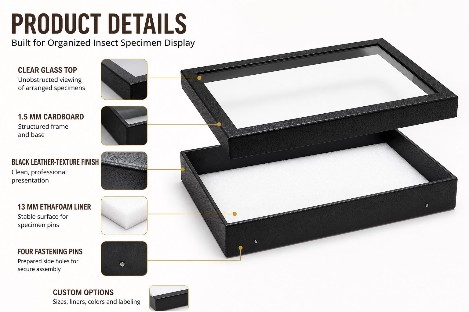 1788053636328113.jpg Riker-Mount-Case-Ethafoam-Product-Details-Web.jpg