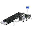 Multi-Line Checkweigher for Stick Pack Packaging Lines High Speed Weight Checker