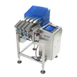 High Speed Multi-Lane Checkweigher for Spice Seasoning Sachet Weight Checker