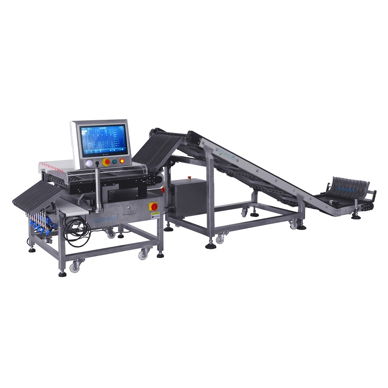 Multi-Lane Precision Checkweighing Machine