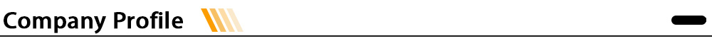 1793003380153708.jpg Company Profile.jpg