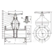 din3352 f5 / en 1171 صمام بوابة مرن ثابت —— صمام zg