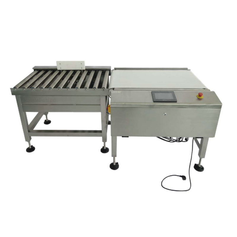 Bulk FCL check weigher