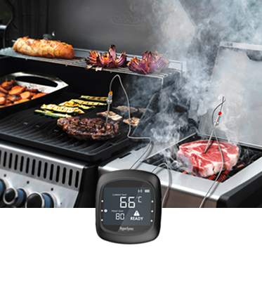 AidMax Pro05 Digital Household BBQ Cooking Thermometer Meat Thermometer  Bluetooth Connected for Party Oven Smoking - AliExpress