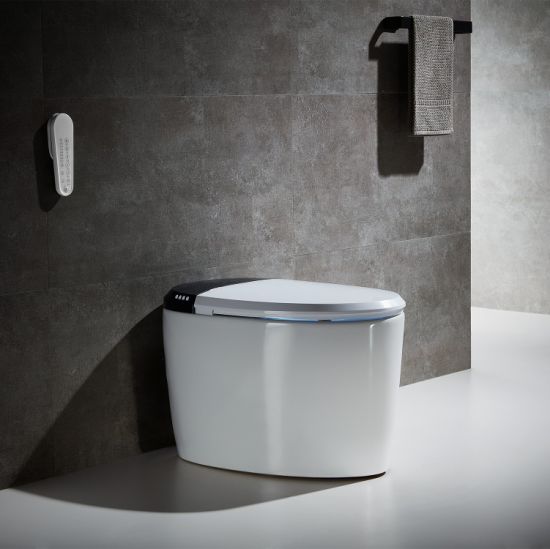Modern-Bathroom-Design-Wc-Girl-Intelligent-Toilet-for-European.jpg