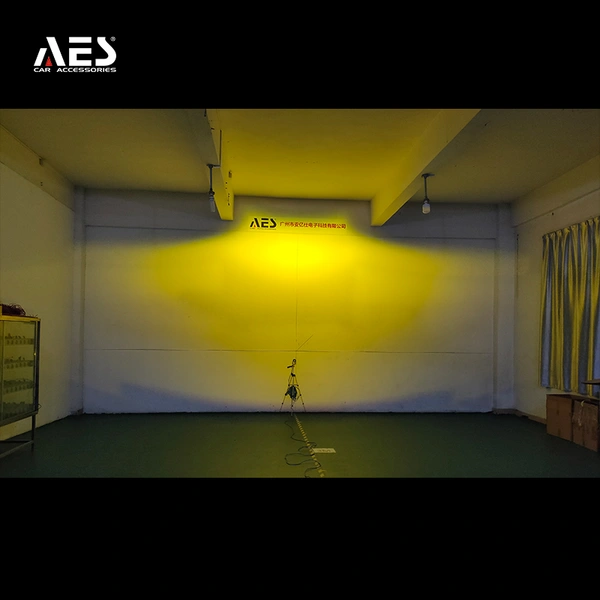 Guangzhou AES Electronic Technology Co., Ltd