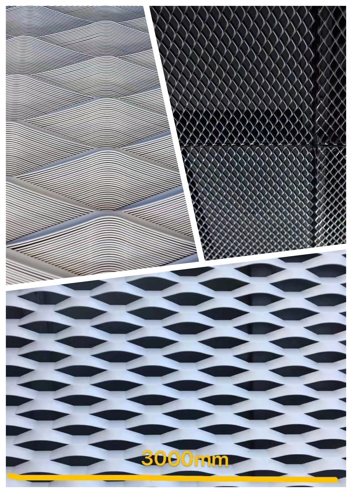 subtitle 1 viwolf.cn