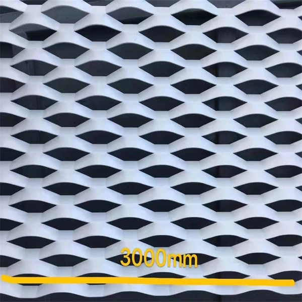 Perforated Metal Sheet for Curtain Wall Decoration