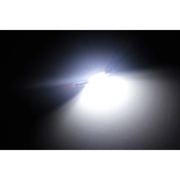 estoon LED Canbus Error Free Dome Light Interior Ceiling Reading Bulbs