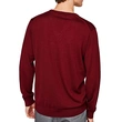 Men's Long Sleeved V-neck pullover sweater