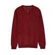 Men's Long Sleeved V-neck pullover sweater