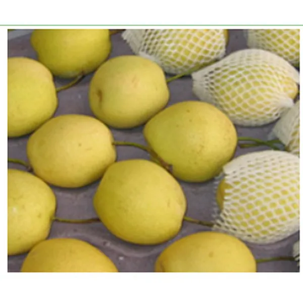  (SEO Title: limited to 70 characters.)