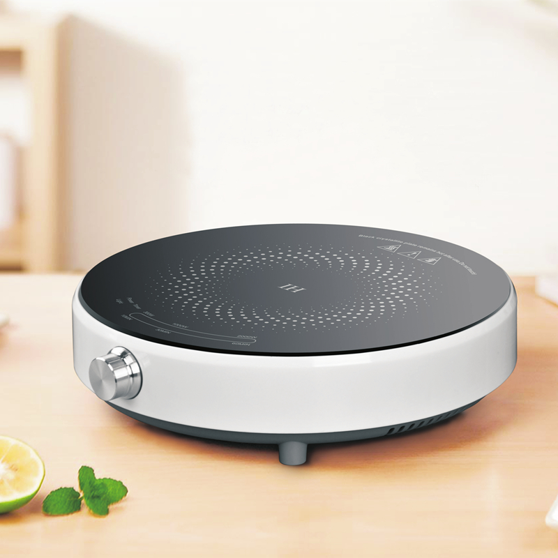 portable induction burner