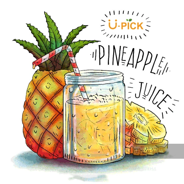 Pineapple Flavored Juice Syrup