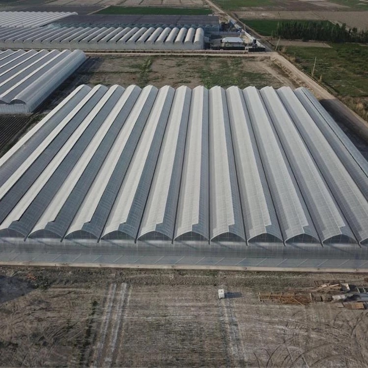 l'Ouzbékistan dépasse l'afrique et devient le plus grand marché coopératif de notre entreprise. 