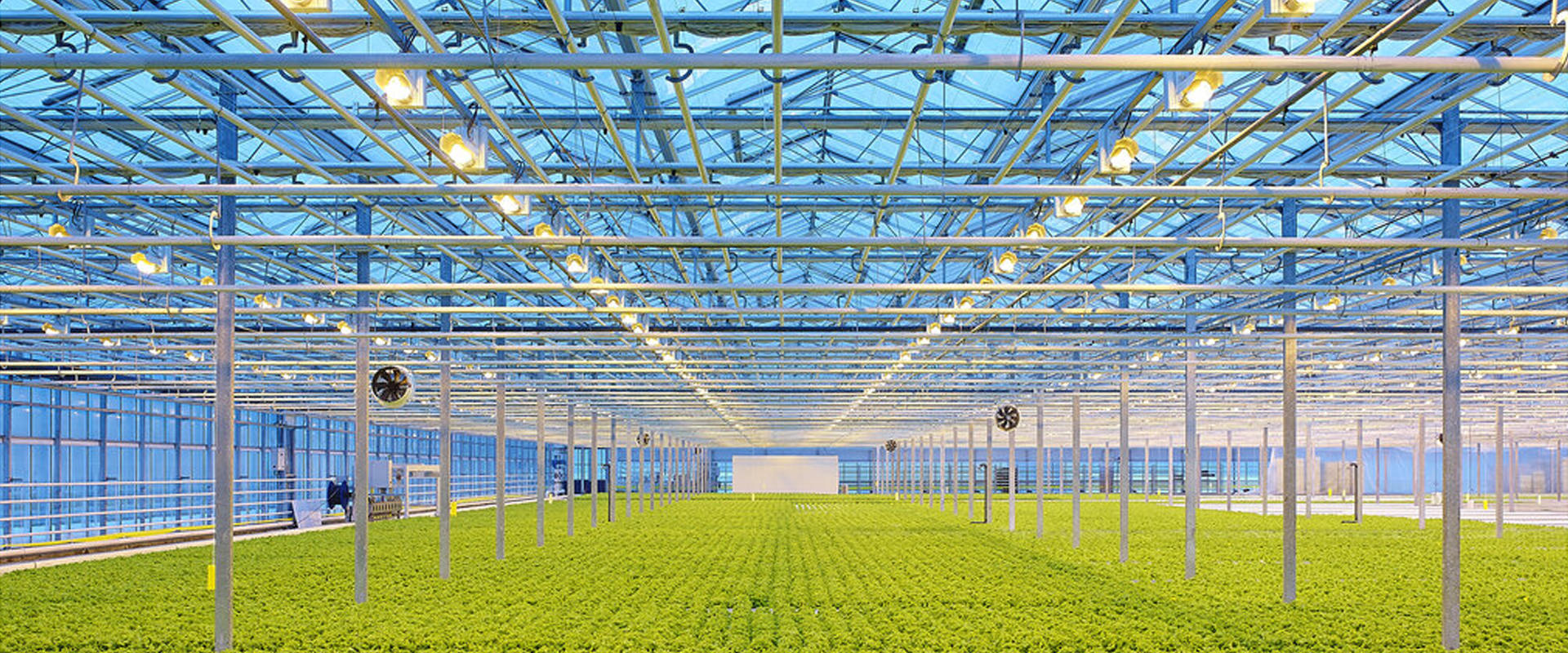 China Greenhouse Manufacturer New Silk Road Greenhouse