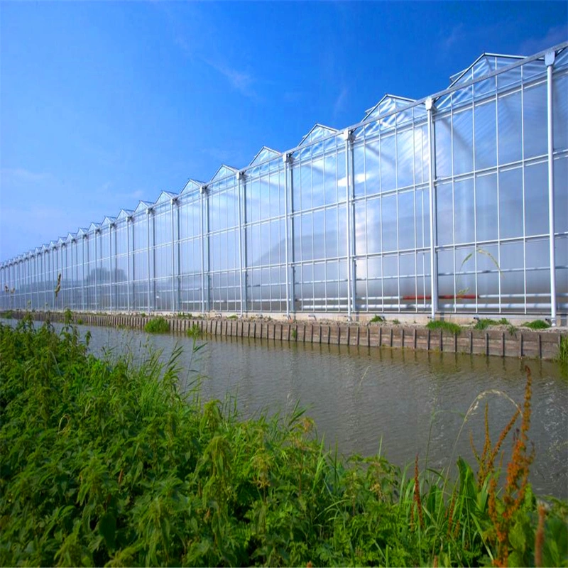 Polycarbonate Greenhouse with Hydroponic Systems Price for Vegetables/Flowers/Fruit/Gardens