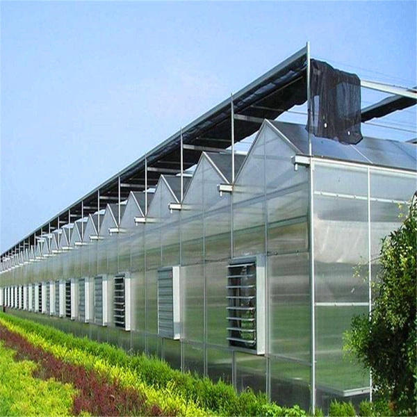 Polycarbonate Sheet PC/Hydroponic Greenhouse for Farming Agriculture of ...