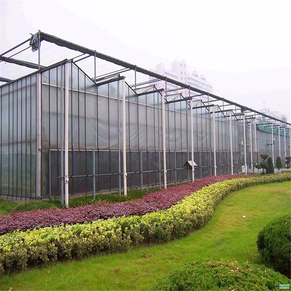Multi-Span Arch/Venlo Type Polycarbonate Board/PC Greenhouse for Russia Market /The Belt and Road Initiative