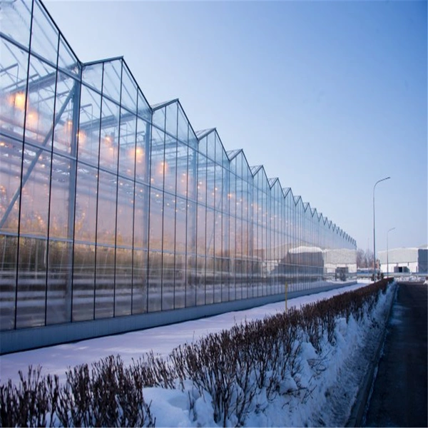 Glass Greenhouse with Hot Galvanized Steel Framework for Agriculture/Stock Farming/Restaurant