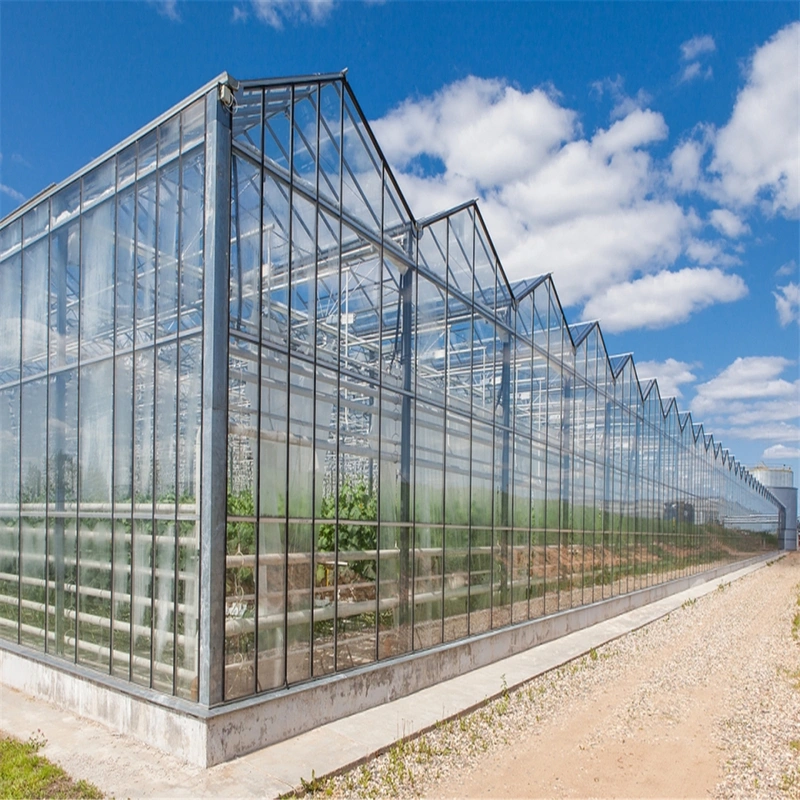 Venlo Hollow Double Tempered Glass Greenhouse with Hydroponics Growing System for Vegetables/ Flowers/ Tomato/ Farm/ Garden/ Eco Restautant / Agriculture