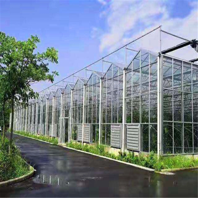 Agricultural Intelligent Sunlight Glass Greenhouse with Framework Accessories Sunlight Plate Glass and Other Covering Materials