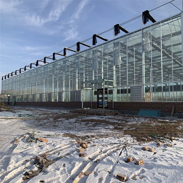 Agricultural Hydroponic Multi-Span Intelligent Nursery Flower Glass Greenhouse