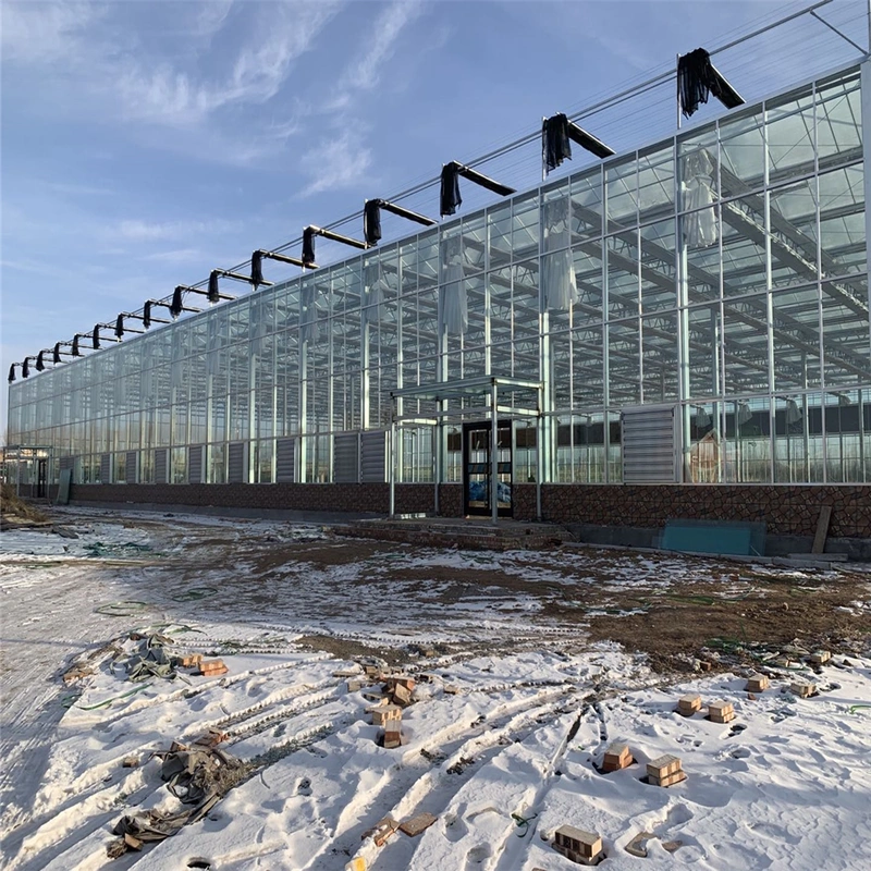 Agricultural Hydroponic Multi-Span Intelligent Nursery Flower Glass Greenhouse