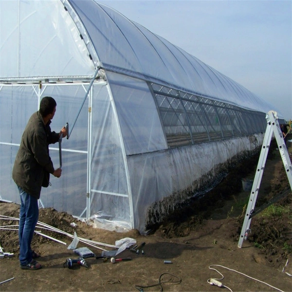 Solar Single Greenhouse for Vegetables/Flowers/Tomato/Cucumber/Strawberry Planting