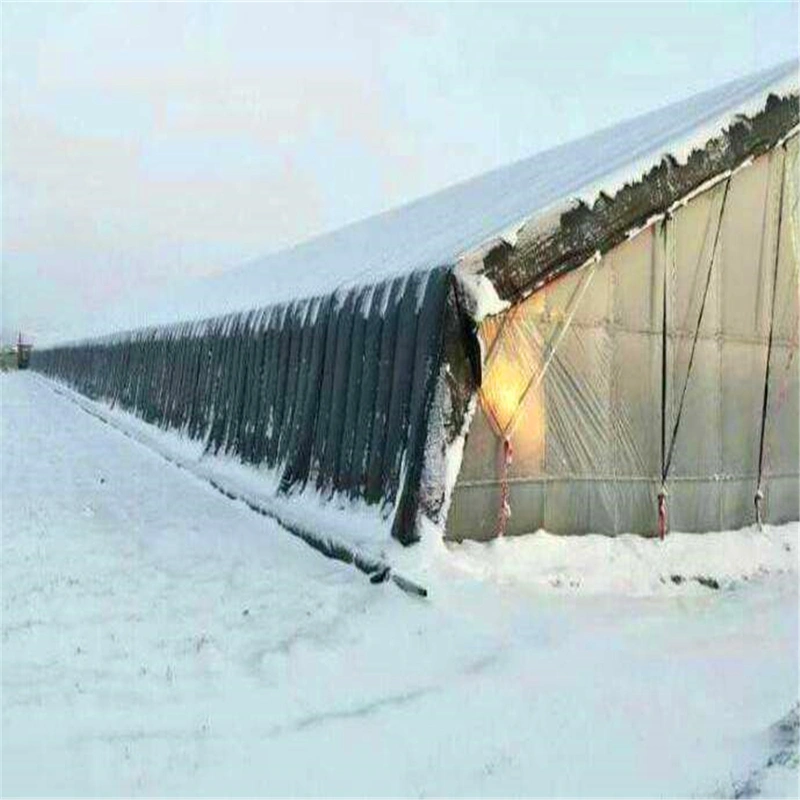 Factory Wholesale Economical Solar Greenhouses with Quilt for Winter Heat Preservation