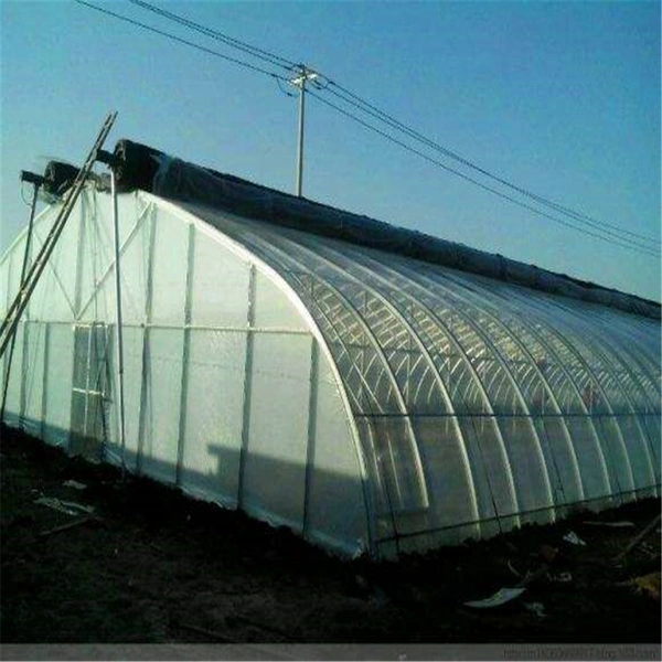 Agriculture Plastic Film Greenhouse with Quilt for Winter Season