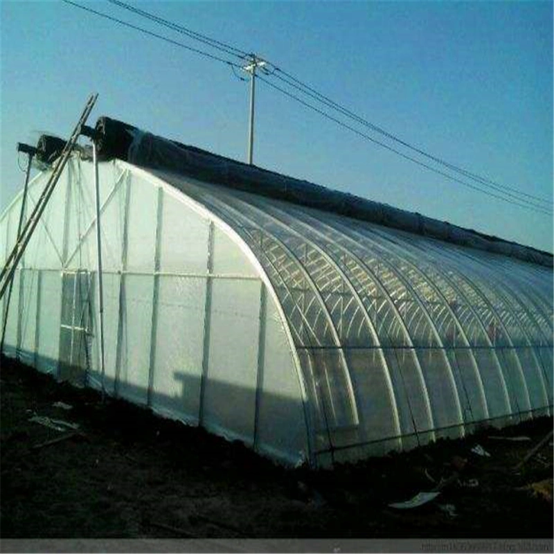Agriculture Plastic Film Greenhouse with Quilt for Winter Season