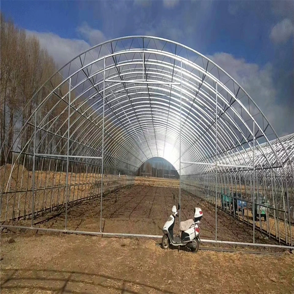 China's high-quality wind and cold single-arch double-layer film greenhouse