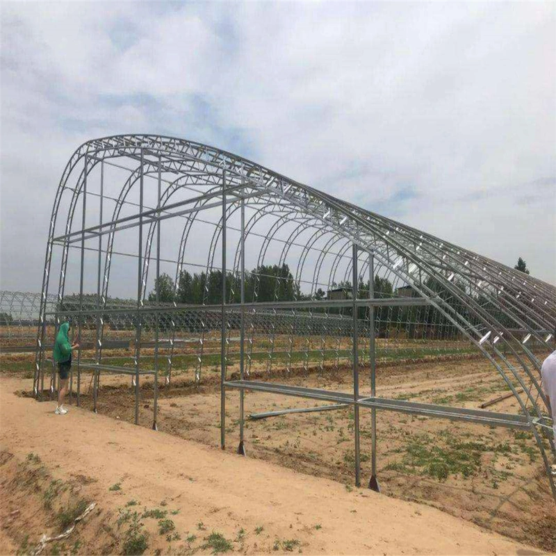 High-quality hot-dip galvanized steel pipe single-arch double-layer film greenhouse