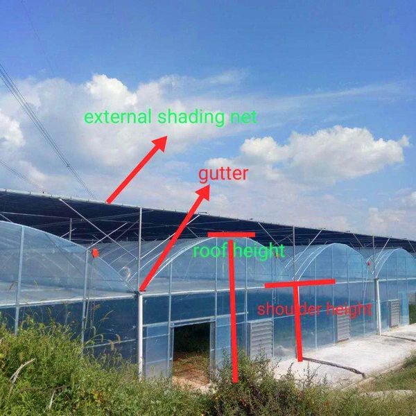 Outside Shading System for Greenhouse with Negotiable Price