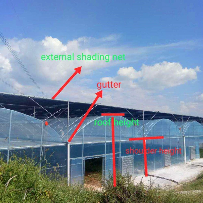 Outside Shading System for Greenhouse with Negotiable Price