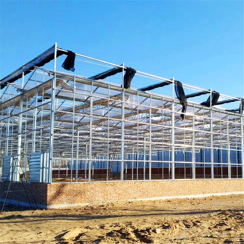 Outside Shading System of Multi Span Greenhouse