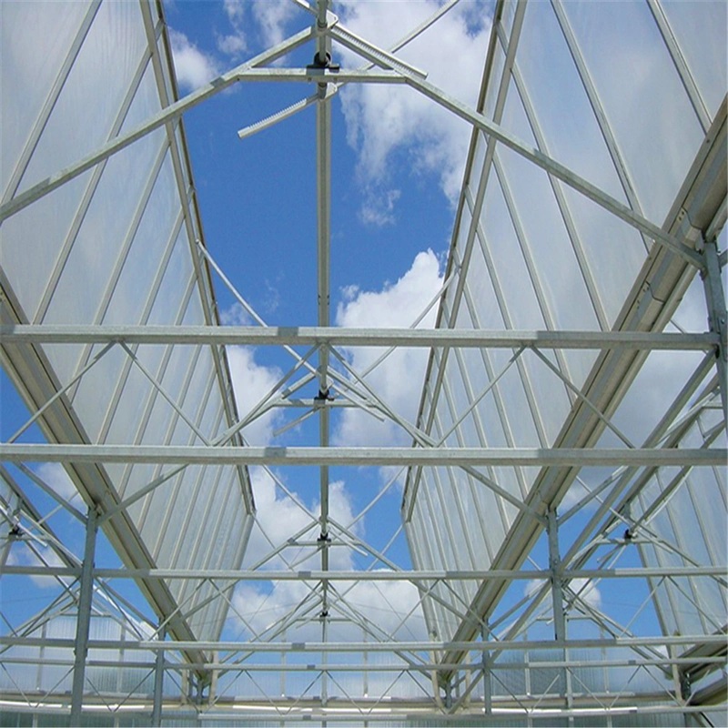 Strong Structure Ventilation System for Greenhouse