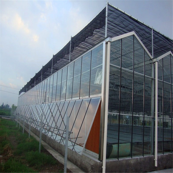Roof Ventilation Systems and Side Ventilation Systems for Greenhouse Flowers