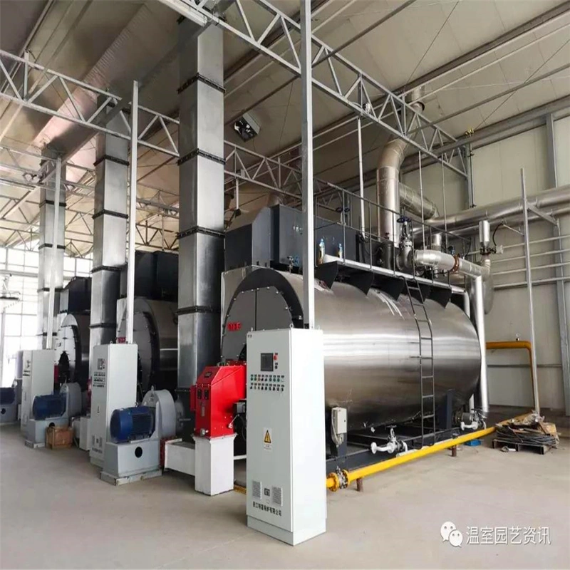 Fire Tube Boiler Heating System for Greenhouse