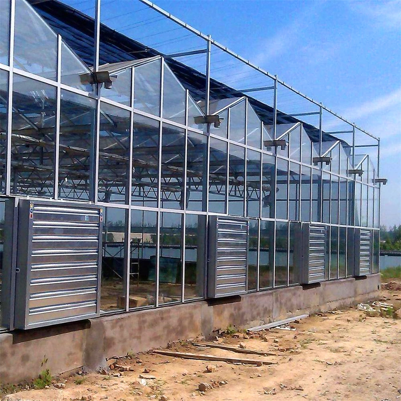 Cooling Exhaust Fan/Cooling Pad /Greenhouse Poultry Cooling System