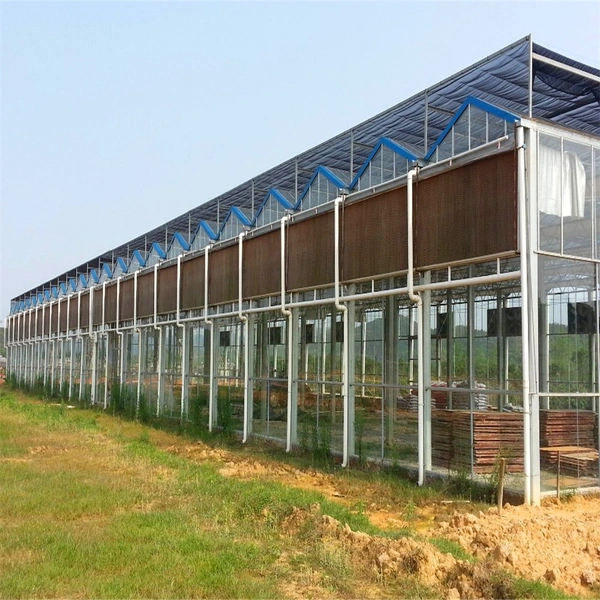 Wet Curtain and Negative Pressure Fan Cooling System for Glass Greenhouse