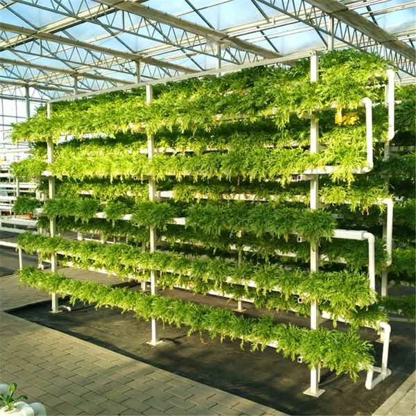 Wholesale Greenhouse Nft Channel Growing System for Hydroponic