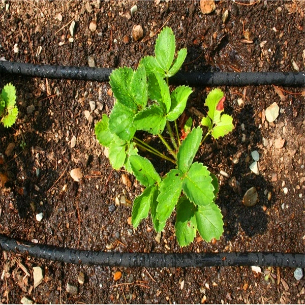 Greenhouse Farm Drip Kits Irrigation System 16mm Price Flat Emitter Drip