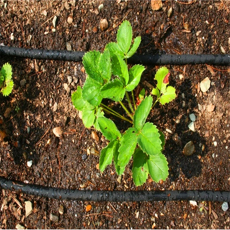 Greenhouse Farm Drip Kits Irrigation System 16mm Price Flat Emitter Drip