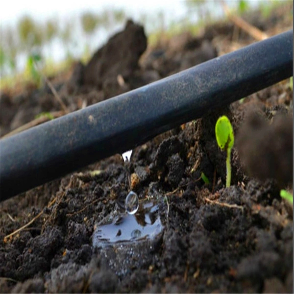 Drip Irrigation Farm Automatic Greenhouse Fertigation System Venturi Injector