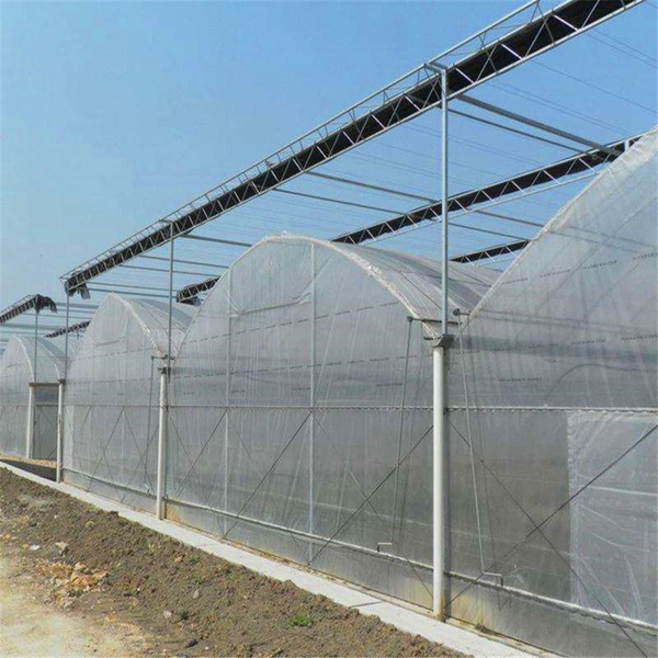 Agricultural high quality hydroponic greenhouse gutter growing systems for tomato/cucumber/lettuce/strawberry/flower/garden