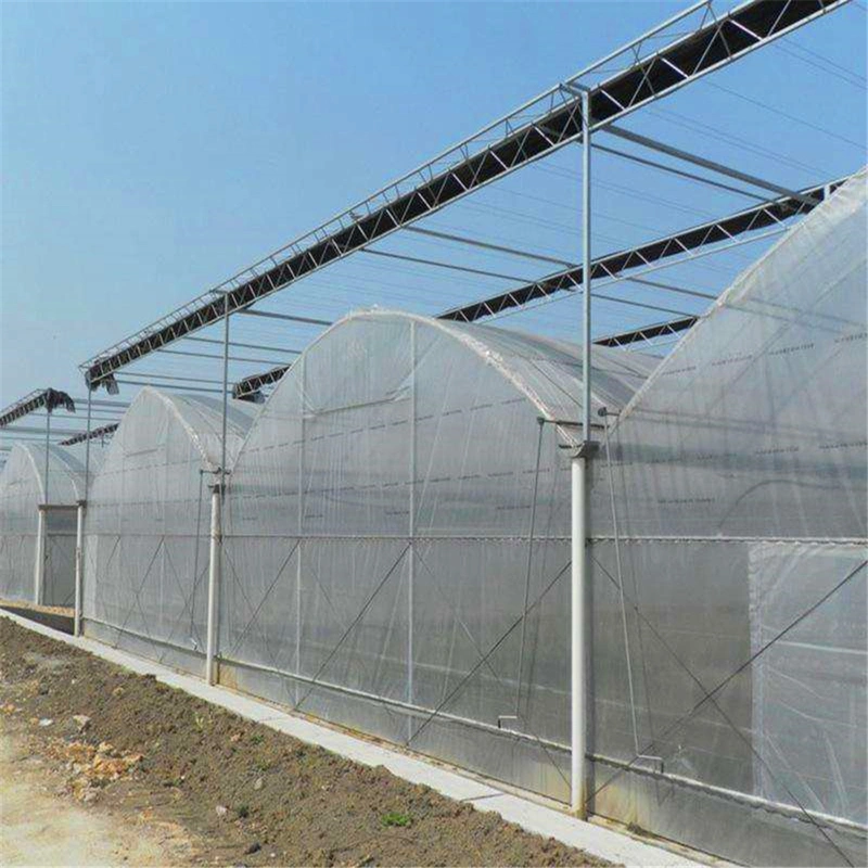 Agricultural high quality hydroponic greenhouse gutter growing systems for tomato/cucumber/lettuce/strawberry/flower/garden